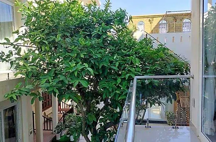 Yen Family Hotel